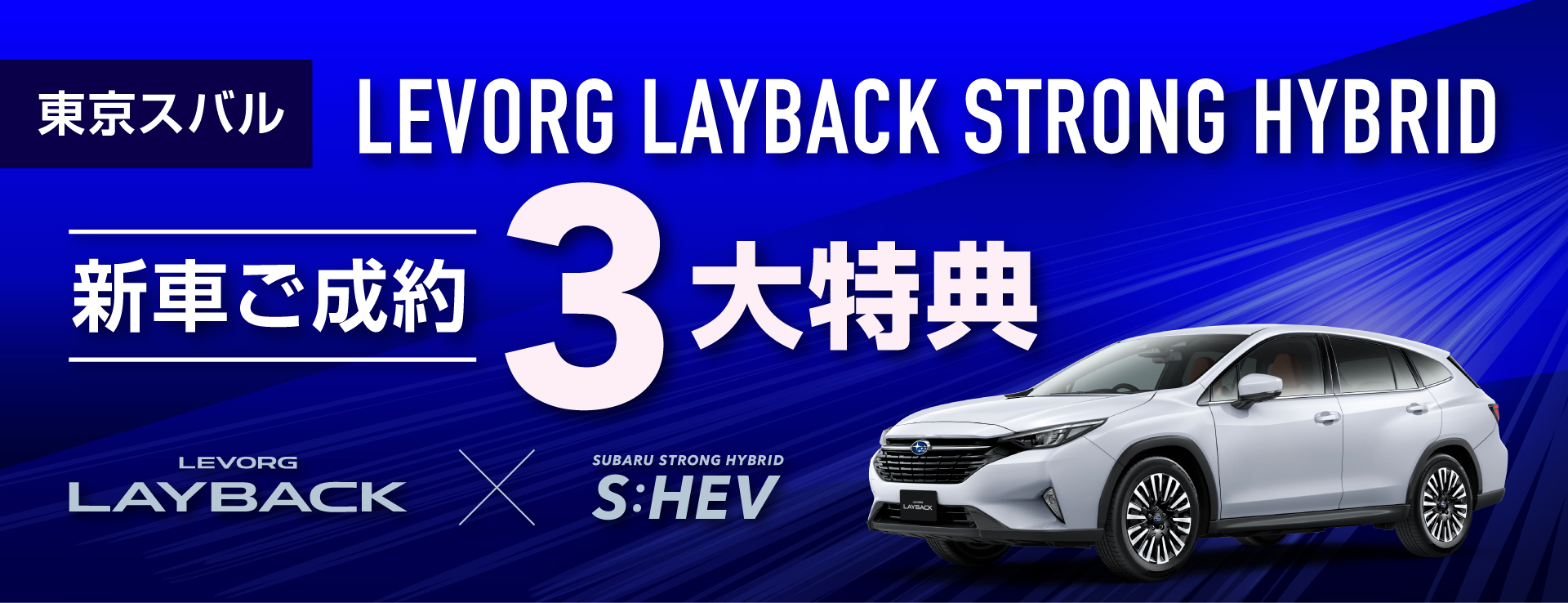 レイバック ストロングハイブリッド
              新車ご成約3大特典