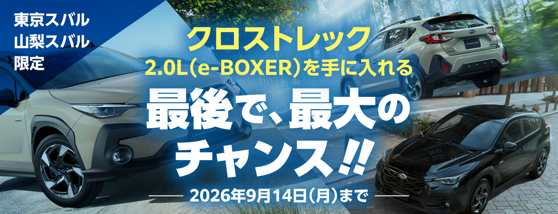 クロストレック 2.0L（e-BOXER）特選車