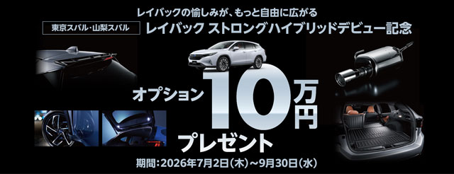レイバック ストロングハイブリッドオプション10万円プレゼント